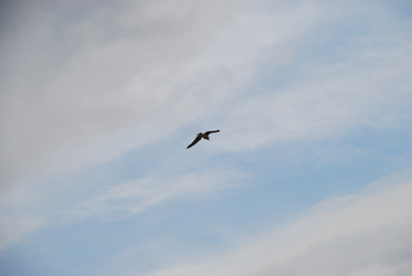 Similar image 21551854