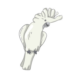 Similar image 21561826