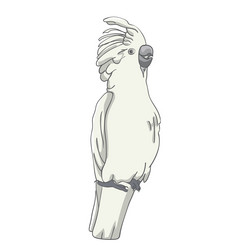 Similar image 21561827