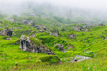 Similar image 21556359