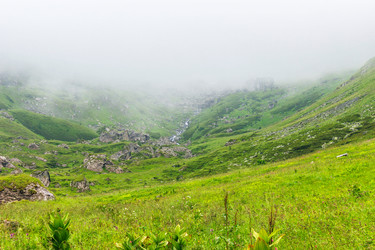 Similar image 21556360