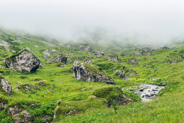 Similar image 21556361