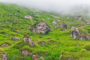 Similar image 21556363