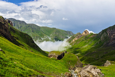 Similar image 21556438