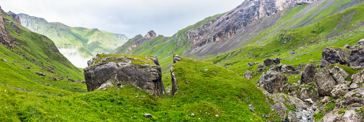 Similar image 21556440