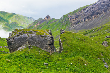 Similar image 21556441