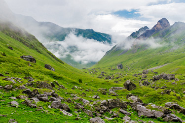 Similar image 21556446