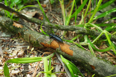 Similar image 21627362