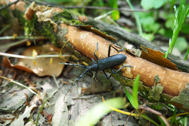 Similar image 21627363