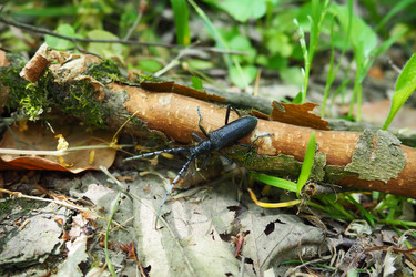 Similar image 21627364