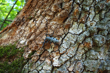 Similar image 21627366