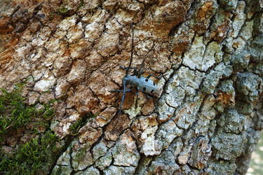 Similar image 21627367