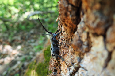 Similar image 21627368