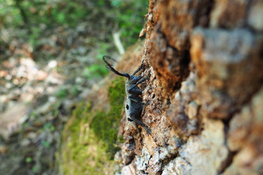 Similar image 21627371