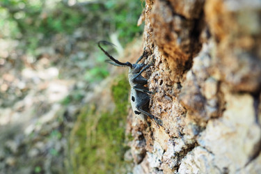 Similar image 21627373