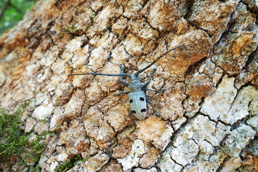 Similar image 21627375