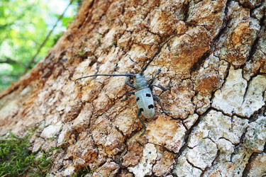 Similar image 21627376