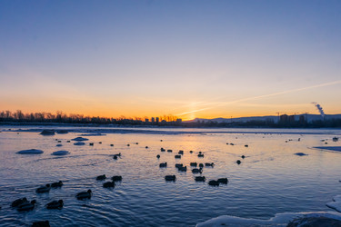 Similar image 21551170