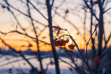 Similar image 21551176