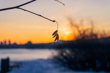 Similar image 21551177