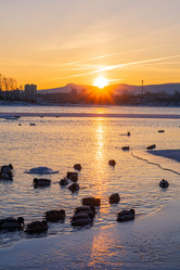 Similar image 21551180