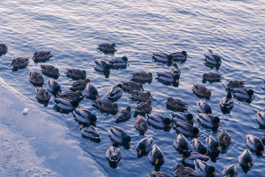 Similar image 21551186