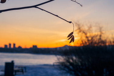 Similar image 21551188