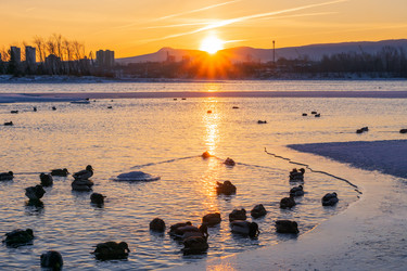 Similar image 21551191