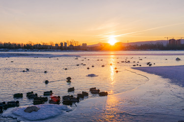 Similar image 21551192