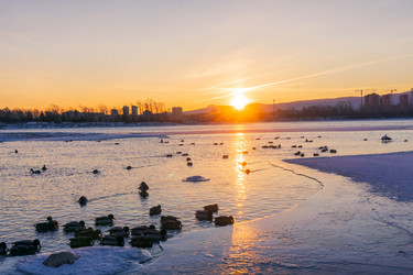 Similar image 21551202