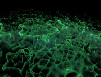 Similar image 21612761