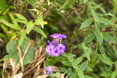 Similar image 21551707