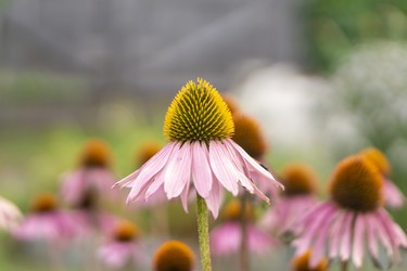 Similar image 21551708