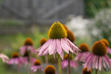 Similar image 21551709