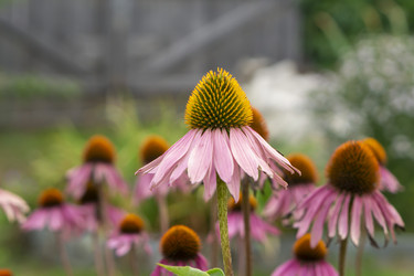 Similar image 21551710