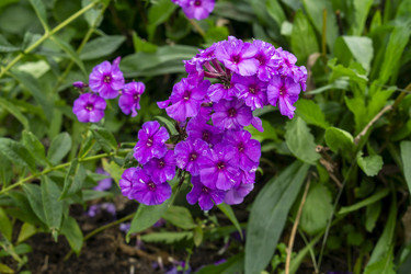 Similar image 21551711