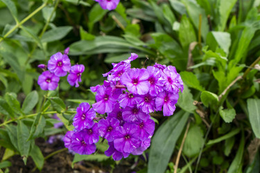 Similar image 21551712