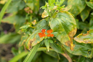 Similar image 21551858