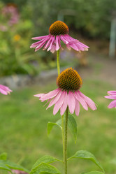 Similar image 21551859