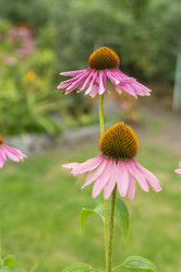 Similar image 21551860