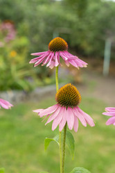 Similar image 21551861