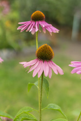 Similar image 21551863