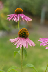 Similar image 21551864