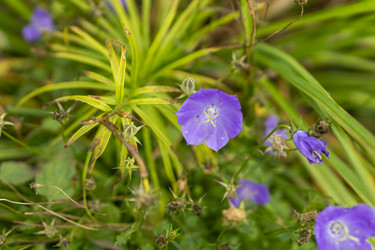 Similar image 21551867