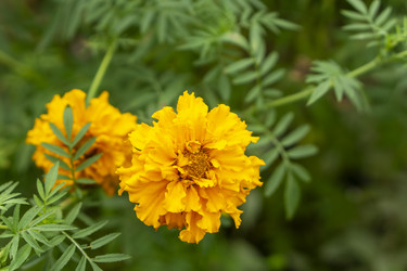 Similar image 21551868