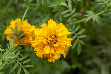 Similar image 21551869