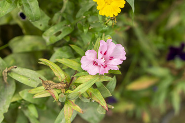 Similar image 21551871