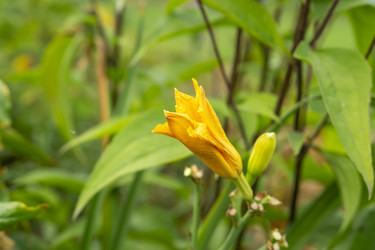 Similar image 21551872