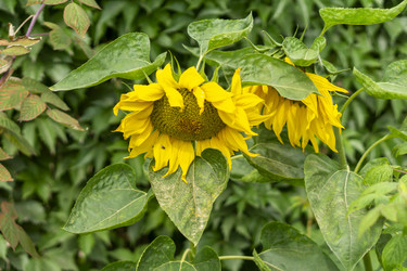 Similar image 21551874