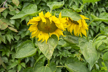 Similar image 21551875